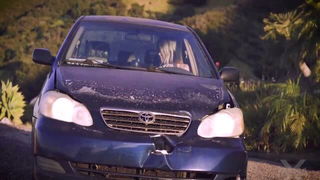 Nicole Nichols behind windshield sex video